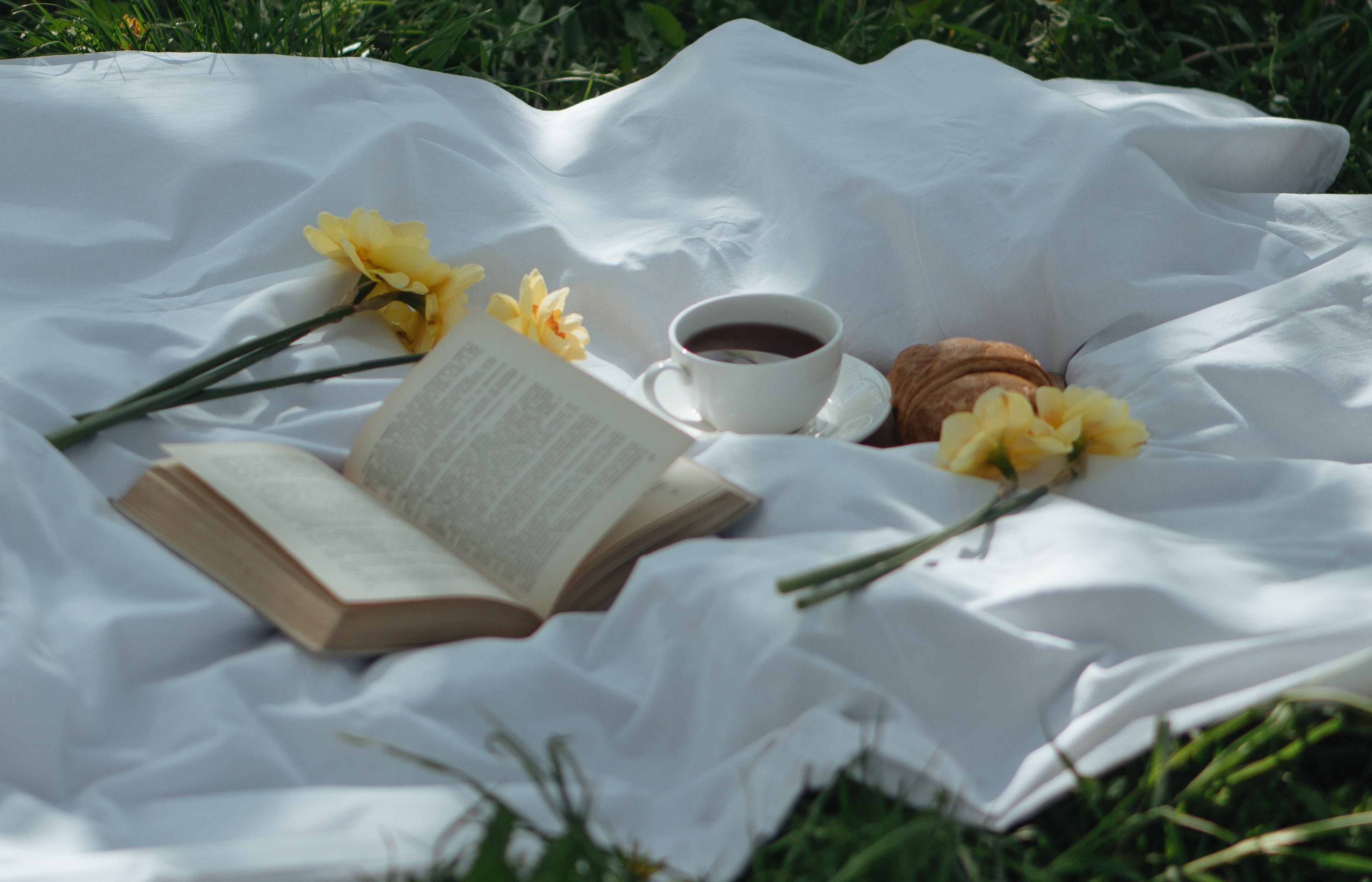 Open book on a white blanket on the grass, with coffee and a pastry