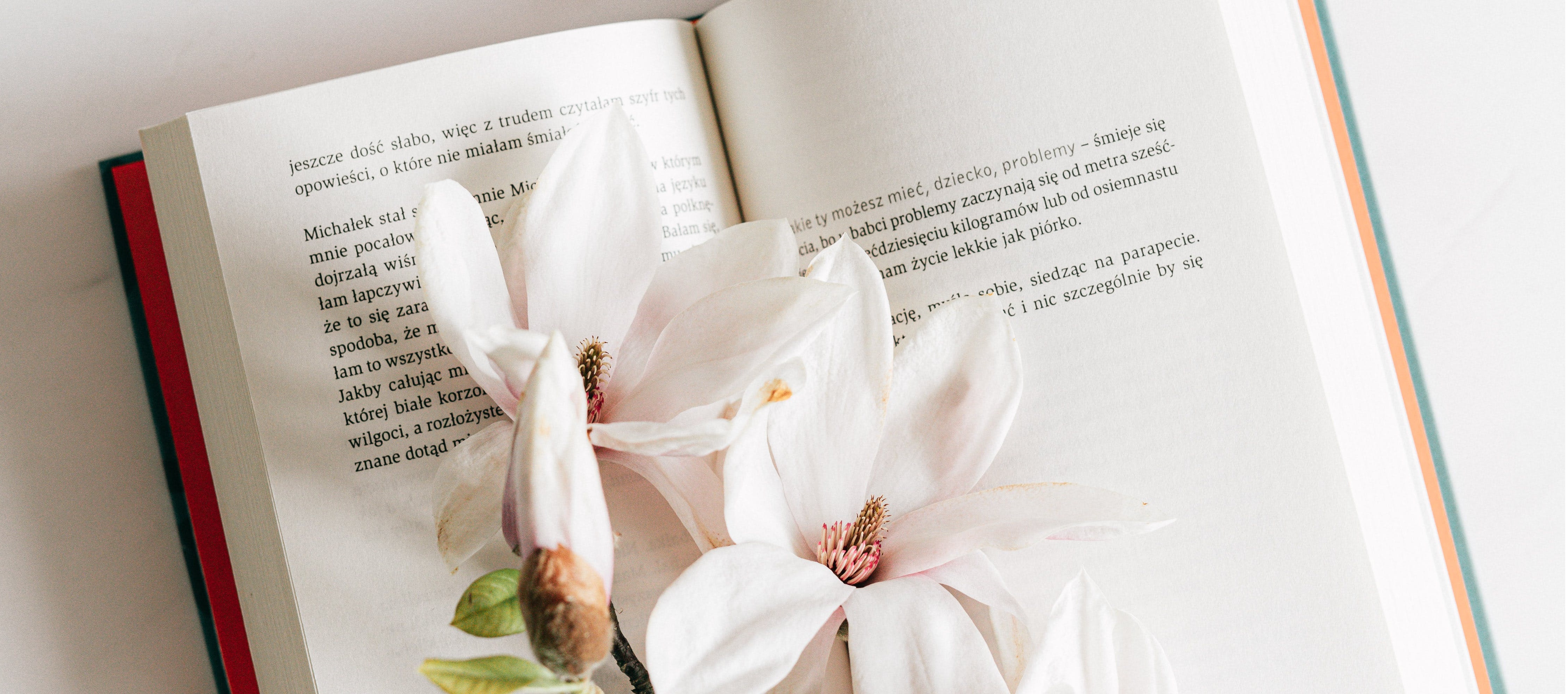 Open book on an off-white background, with blooming magnolias resting on the open book